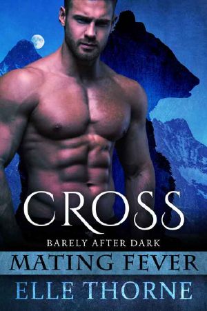 [Barely After Dark 01] • Cross